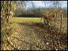 041210_chemin_lisiere_4d