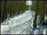 050302_neige_hetres_4d