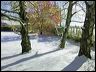 051126_troncs-neige-talif_4