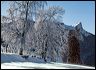 970113_arbres_givre_egaux_4